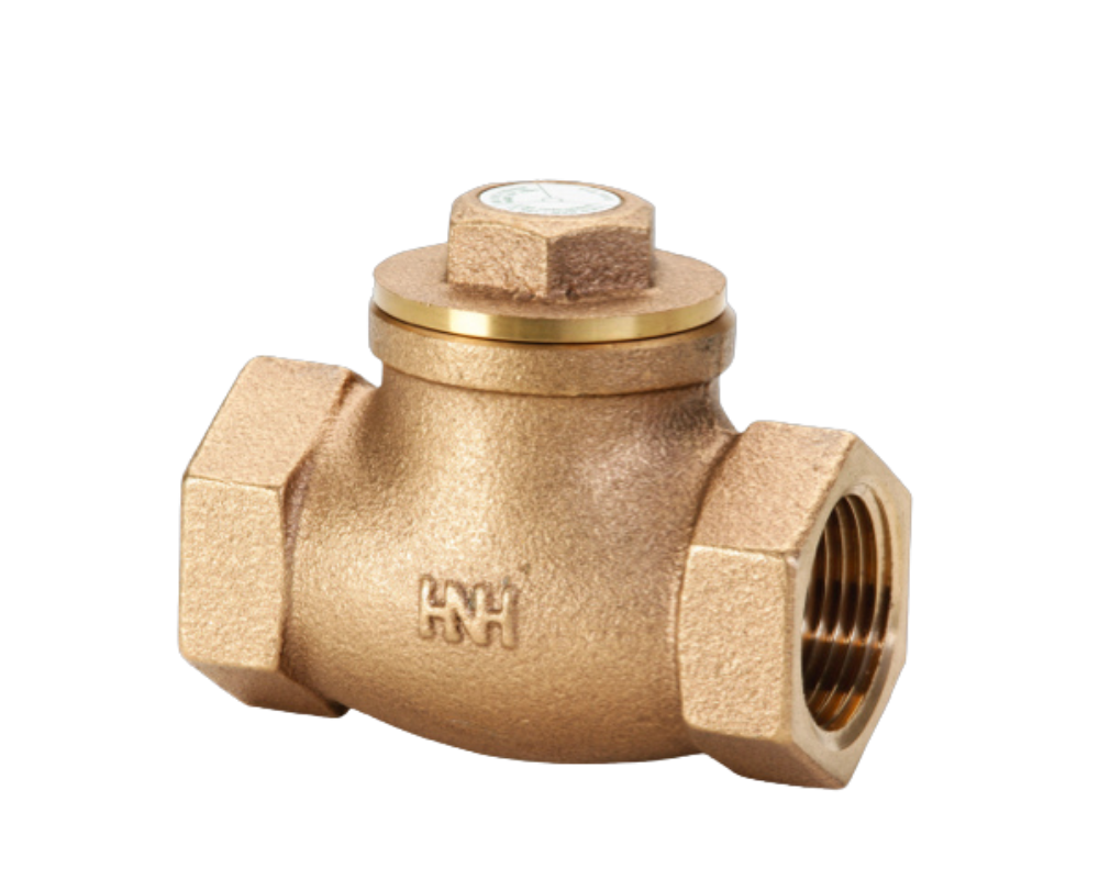 Check Valve