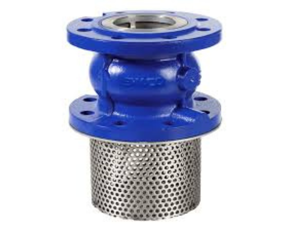 Foot Valve (Flange Type)