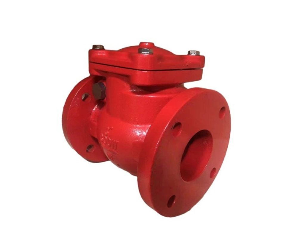 Non Return Valve